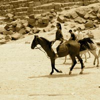 Pyramids Horse Riding Trip
